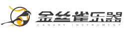 山东金丝雀乐器有限公司